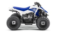 Moto - News: Yamaha YFZ50 2017: piccoli quaddisti crescono