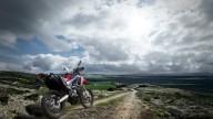 Moto - News: Honda CRF250 Rally my2017