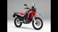 Moto - News: Nuova Honda CRF250 RALLY e CRF250L 2017