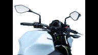 Moto - News: Kawasaki Z650 2017