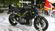 Moto - News: Kawasaki Z650 e Z900 a EICMA 2016 [VIDEO]