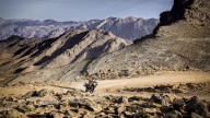 Moto - News: KTM Adventure 2017: quante sono e quanto costano