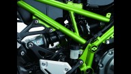 Moto - Test: Kawasaki Z900 2017: perché comprarla... e perché no [VIDEO]