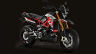 Moto - Test: Aprilia Dorsoduro e Shiver 900 - TEST