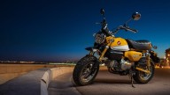 Moto - News: Honda Monkey 125, il mito ritorna