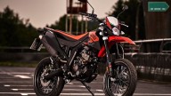 Moto - Test: Aprilia RX ed SX 125: per sognare in grande