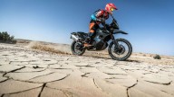 Moto - News: KTM 390 Adventure e 790 Adventure R, le prime immagini