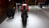 Moto - News: Ducati Panigale V4 R, born to race