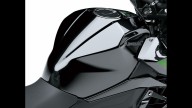 Moto - News: Kawasaki Z400: piccole naked crescono