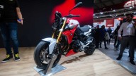 Moto - Gallery: BMW F900 R ad Eicma 2019