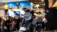 Moto - Gallery: Triumph Bonneville T100 e T120 Bud Ekins ad Eicma 2019
