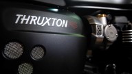 Moto - Gallery: Triumph Thruxon RS ad Eicma 2019
