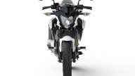 Moto - News: Kawasaki Z125 e Ninja 125 2021: 16enni felici! Svelate le piccole "verdi" - foto