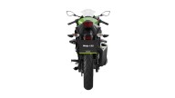 Moto - News: Kawasaki Z125 e Ninja 125 2021: 16enni felici! Svelate le piccole "verdi" - foto