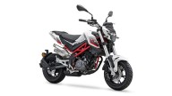 Moto - News: Benelli BN125 e Tornado naked T 125 my2021: 16enni accontentati - caratteristiche