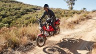 Moto - Test: Honda Trail 125 2021 - TEST