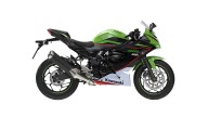 Moto - News: Kawasaki, nuovi colori per Z125, Ninja 125, W800 e Z900RS