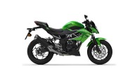 Moto - News: Kawasaki, nuovi colori per Z125, Ninja 125, W800 e Z900RS