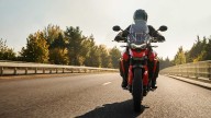 Moto - News: Triumph Tiger 850 Sport, la nuova crossover stradale per tutti