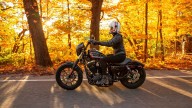 Moto - News: Harley-Davidson Pan America, presentazione a gennaio 2021