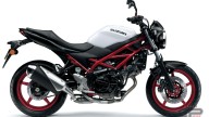 Moto - News: Suzuki SV650 2021: caratteristiche, novità, foto e prezzo