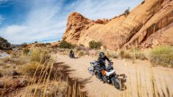 Moto - News: Harley-Davidson Pan America my2021: l'on-off americana - caratteristiche, foto, video