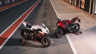 Moto - News: MV Agusta F3 RR 2022: la supersportiva al top