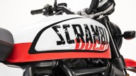 Moto - News: Ducati Scrambler 2022: arrivano Tribute e Urban Motard