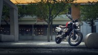 Moto - News: Triumph Bonneville Gold Line Edition 2022: classic fatte a mano
