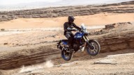 Moto - News: Eicma 2021 - Yamaha Ténéré 700 e Ténéré 700 Rally Edition 2022