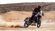 Moto - News: Eicma 2021 - Yamaha Ténéré 700 e Ténéré 700 Rally Edition 2022