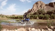 Moto - News: Eicma 2021 - Yamaha Ténéré 700 e Ténéré 700 Rally Edition 2022