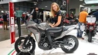 Moto - Gallery: All, but really all the girls of EICMA 2021