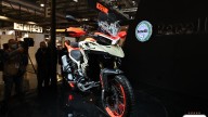 Moto - News: Eicma 2021, LIVE: Benelli TRK 800 2022, la adventure a furor di popolo!