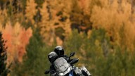 Moto - News: Triumph Tiger 1200 2022: ritorno in grande stile!