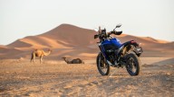 Moto - News: Yamaha Ténéré 700 World Raid 2022: la dakariana "di serie"