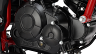 Moto - News: Benelli, ecco la nuova BN 125 2022