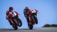 Moto - News: Ducati V4R 2023, livrea da MotoGP, 240 cv, 16.500 giri