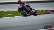 MotoGP: Il giorno dei collaudatori: a Sepang va in scena lo 'shakedown'