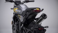 Moto - News: Voge Trofeo 525ACX 2023: a tutto scrambler