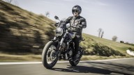 Moto - News: Voge Trofeo 525ACX 2023: a tutto scrambler