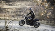 Moto - News: Voge Trofeo 525ACX 2023: a tutto scrambler