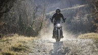 Moto - News: Voge Trofeo 525ACX 2023: a tutto scrambler