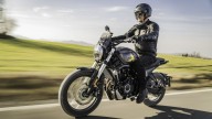 Moto - News: Voge Trofeo 525ACX 2023: a tutto scrambler