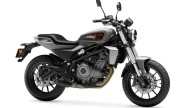 Moto - News: Harley-Davidson X350: ecco la "baby" H-D, per ora, non per l'Europa