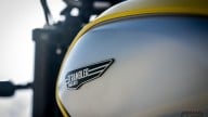 Moto - News: Prova Ducati Scrambler 800: nata libera