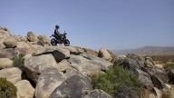 Moto - News: Triumph Speed 400 e Scrambler 400 X: piccole grandi novità per il 2024