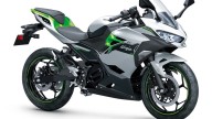 Moto - News: Kawasaki Z e-1 e Ninja e-1: "Go with Green Power"