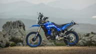 EICMA: Yamaha Ténéré 700 World Raid: a EICMA 2023, la versione speciale Kit Performance GYTR