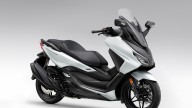 Moto - Scooter: Honda Forza 350 e ADV 350 2024: nuovi colori per i vendutissimi scooter